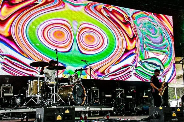 biscuits bassnectar
